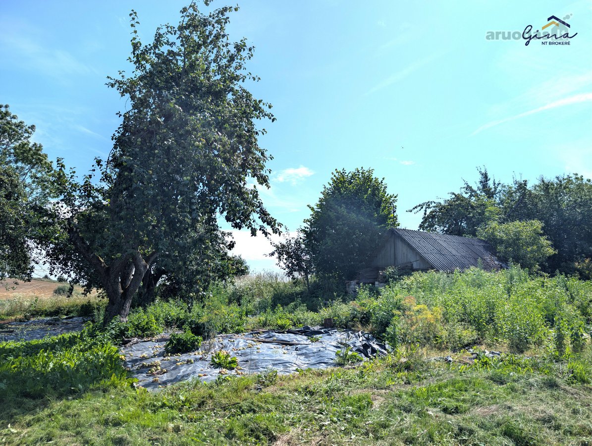 Parduodama sodyba Prienų rajone, Jarmališkių - nuotraukos Nr. 14