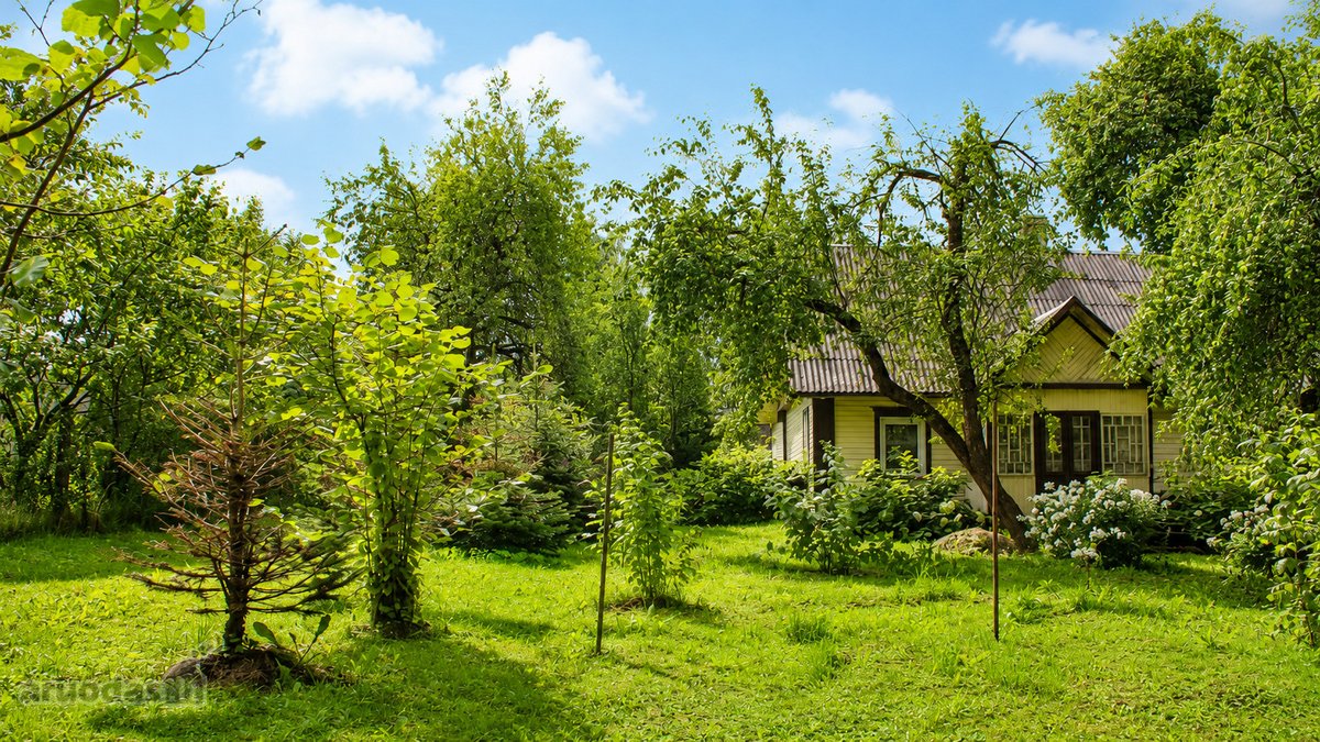 Yra namų, kuriuos perki dėl naujo remonto. O - nuotraukos Nr. 13