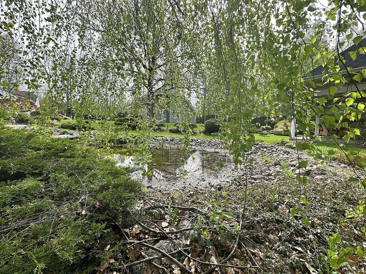 Panevėžio r. sav., Samanynės k. - nuotraukos Nr. 48