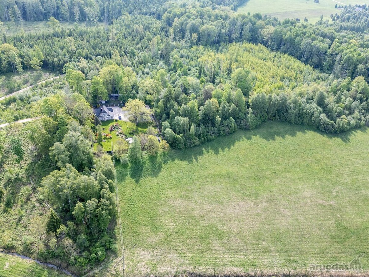 Panevėžio r. sav., Samanynės k. - nuotraukos Nr. 97
