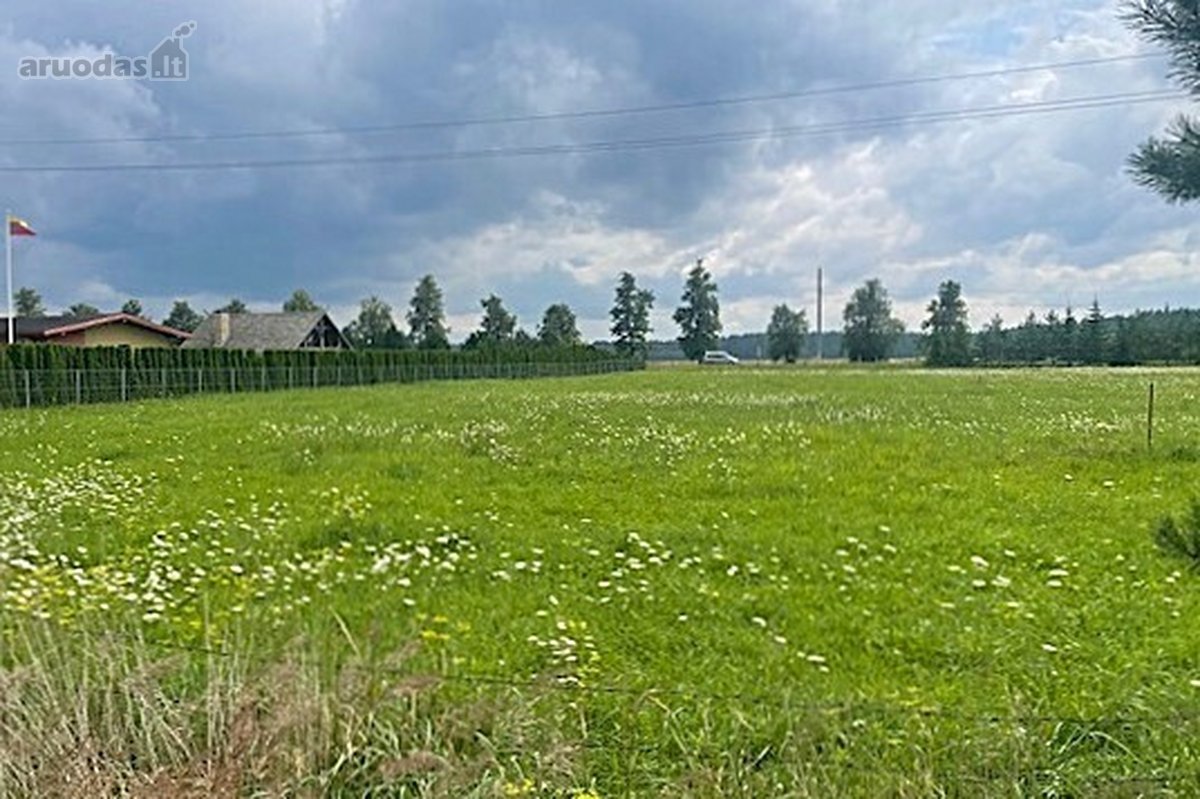 Parduodamas 40 Arų Gyvenamosios Paskirties - nuotraukos Nr. 10