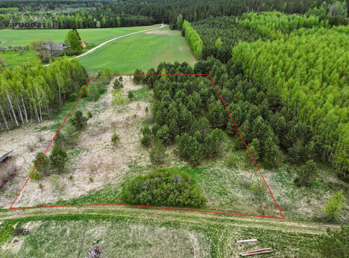 Parduodamas 82,4 a žemės ūkio paskirties - nuotraukos Nr. 2