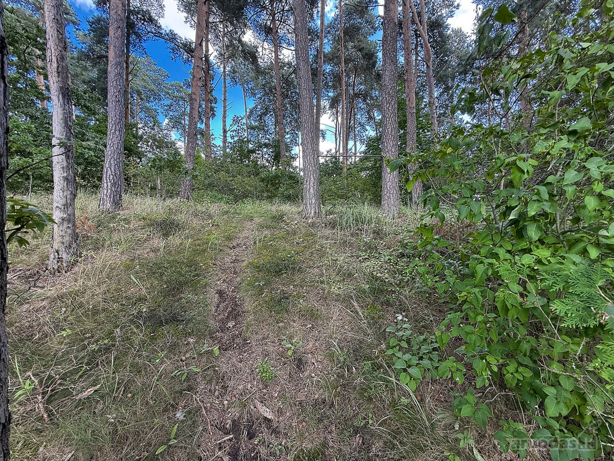 Jonavos rajone, Guldynuose parduodamas erdvus - nuotraukos Nr. 13