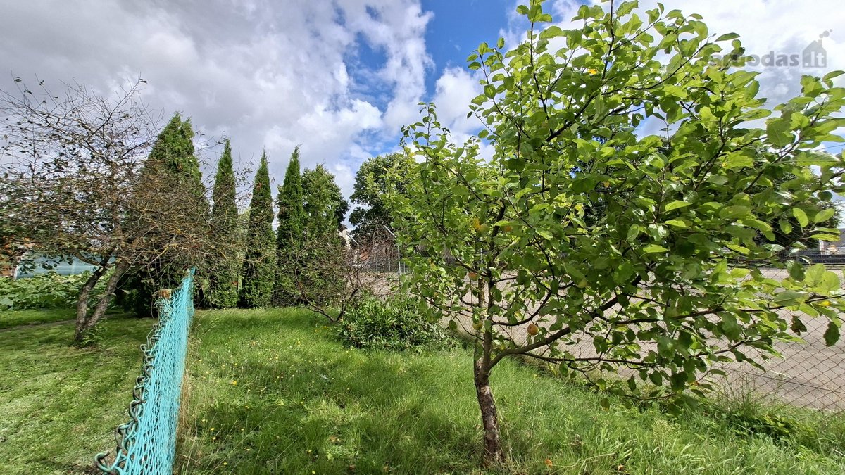 Parduodamas Tvarkingas Namas Vievyje + 15 A - nuotraukos Nr. 44