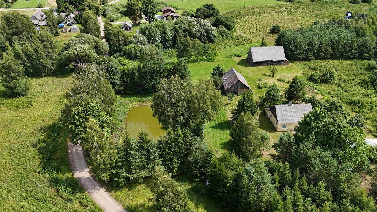 Išskirtinė Gamtos Apsupta Sodyba – Ramybė, - nuotraukos Nr. 3