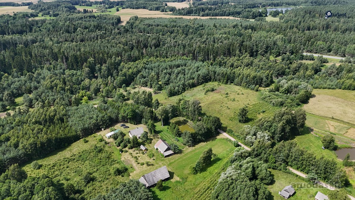 Išskirtinė Gamtos Apsupta Sodyba – Ramybė, - nuotraukos Nr. 6