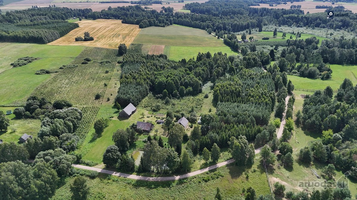 Išskirtinė Gamtos Apsupta Sodyba – Ramybė, - nuotraukos Nr. 7