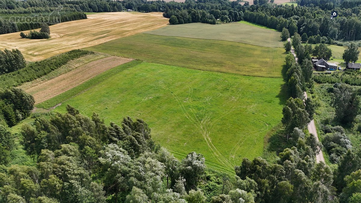 Išskirtinė Gamtos Apsupta Sodyba – Ramybė, - nuotraukos Nr. 8