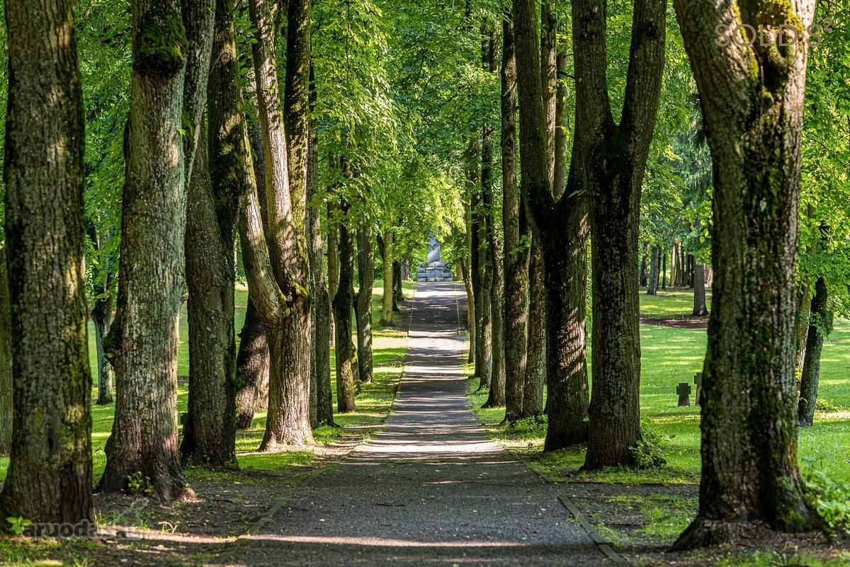 Pačioje Naujamiesčioje pradžioje, keliolika - nuotraukos Nr. 17