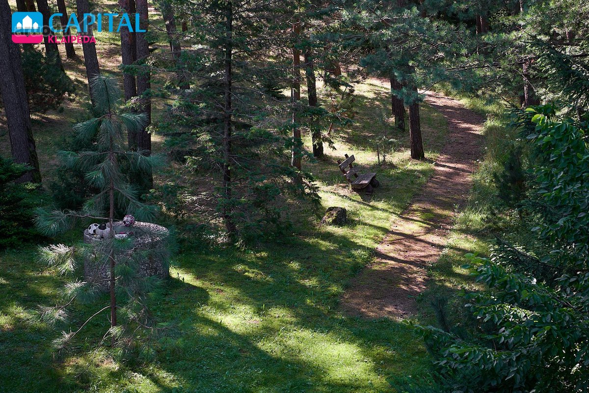 Parduodamos patalpos Gargžduose – išskirtinė - nuotraukos Nr. 24