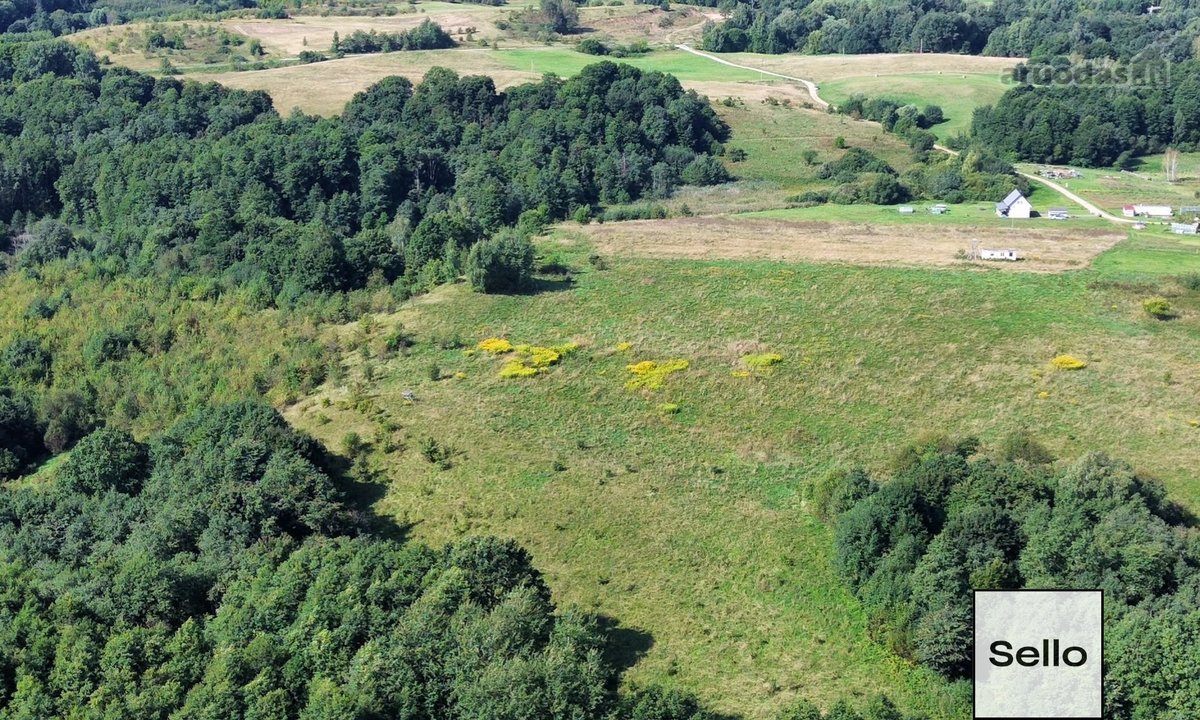  – Nt ekspertai be procentų - nuotraukos Nr. 8