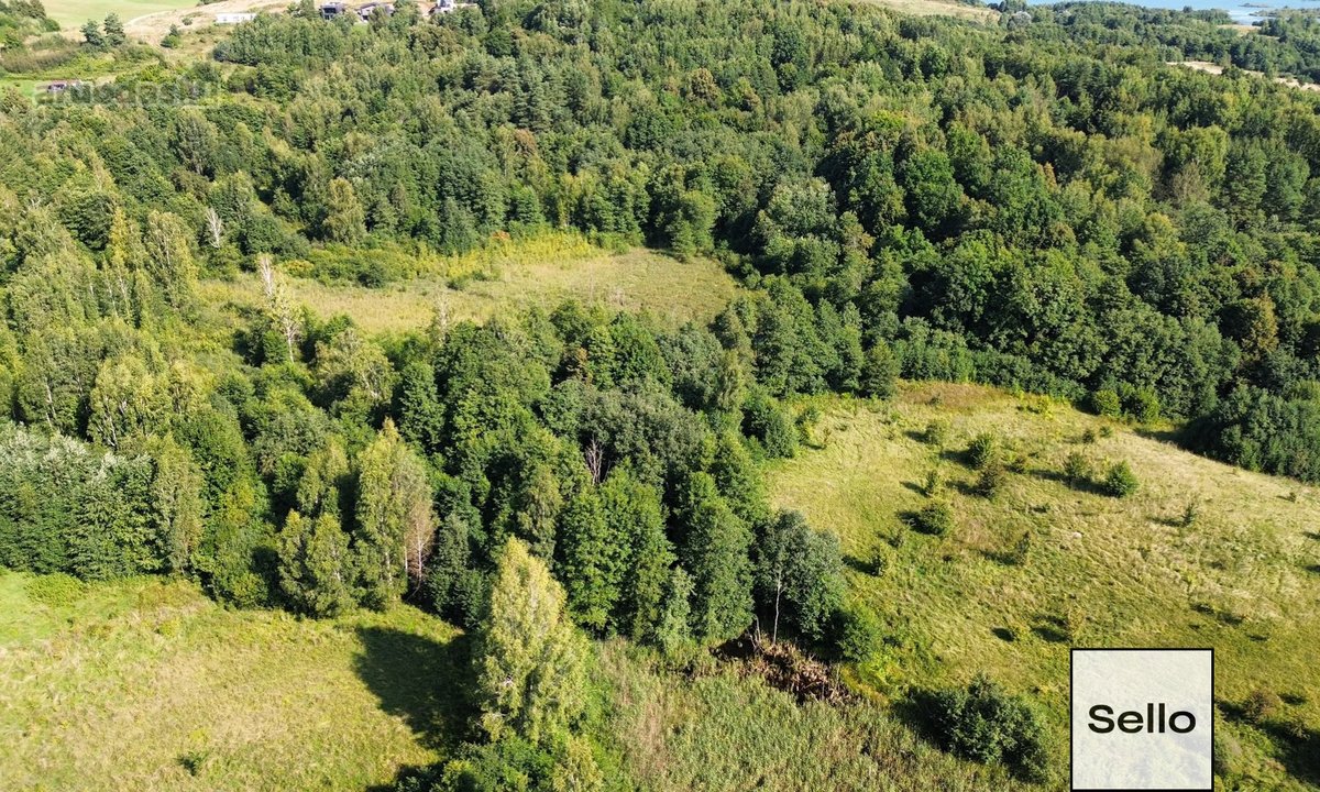  – Nt ekspertai be procentų - nuotraukos Nr. 10
