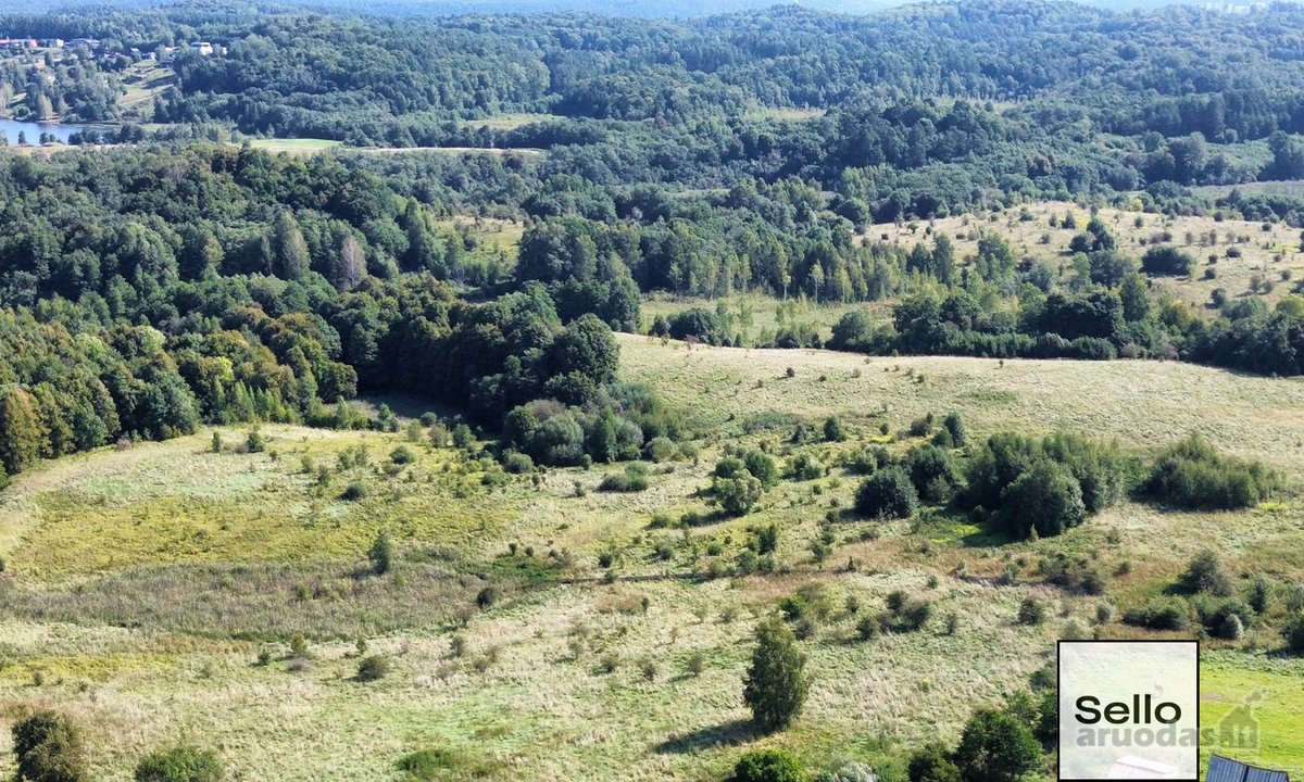  – Nt ekspertai be procentų - nuotraukos Nr. 11