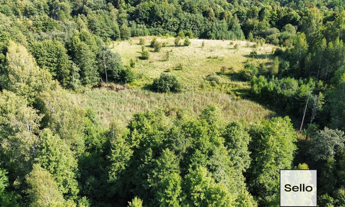  – Nt ekspertai be procentų - nuotraukos Nr. 12