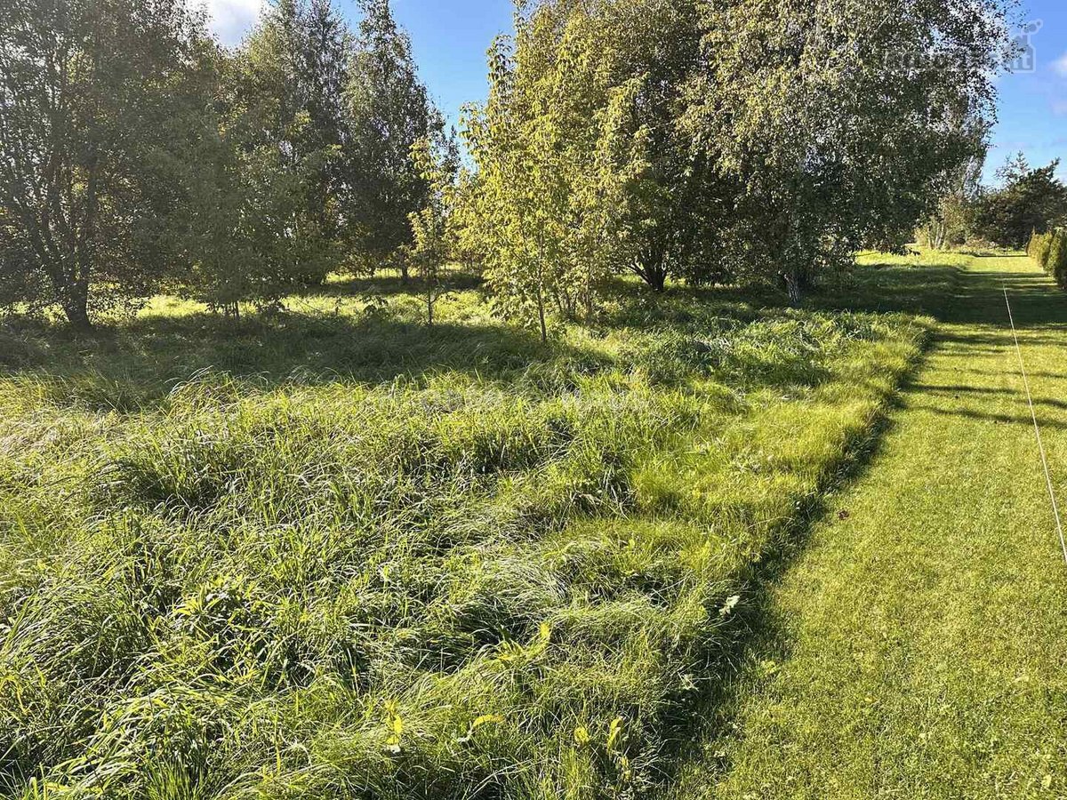 Parduodamas 20 arų sklypas, esantis Rokiškio - nuotraukos Nr. 2