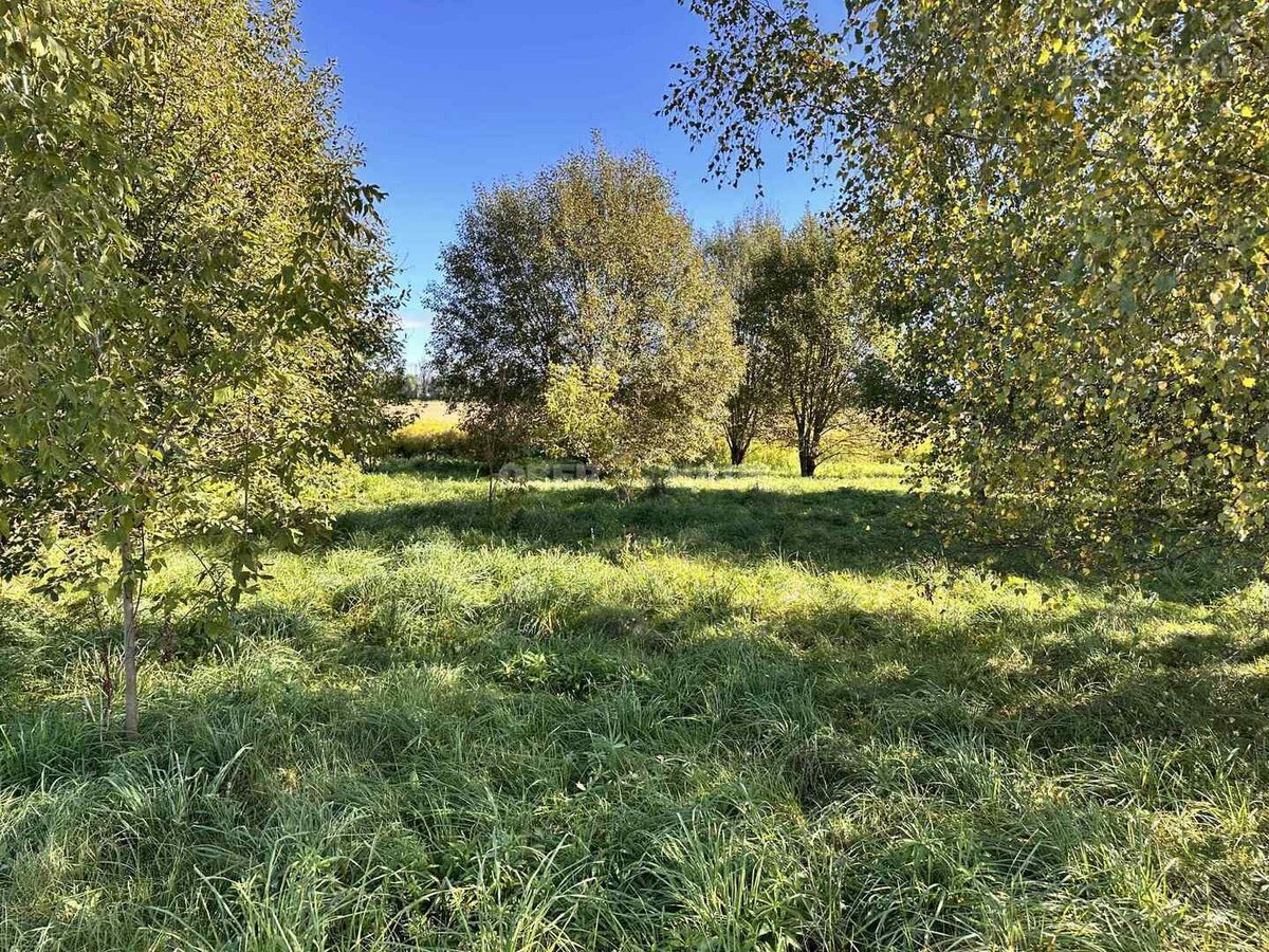 Parduodamas 20 arų sklypas, esantis Rokiškio - nuotraukos Nr. 9