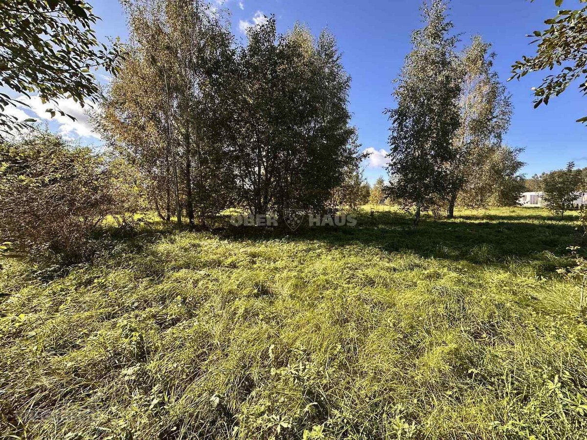 Parduodamas 20 arų sklypas, esantis Rokiškio - nuotraukos Nr. 10