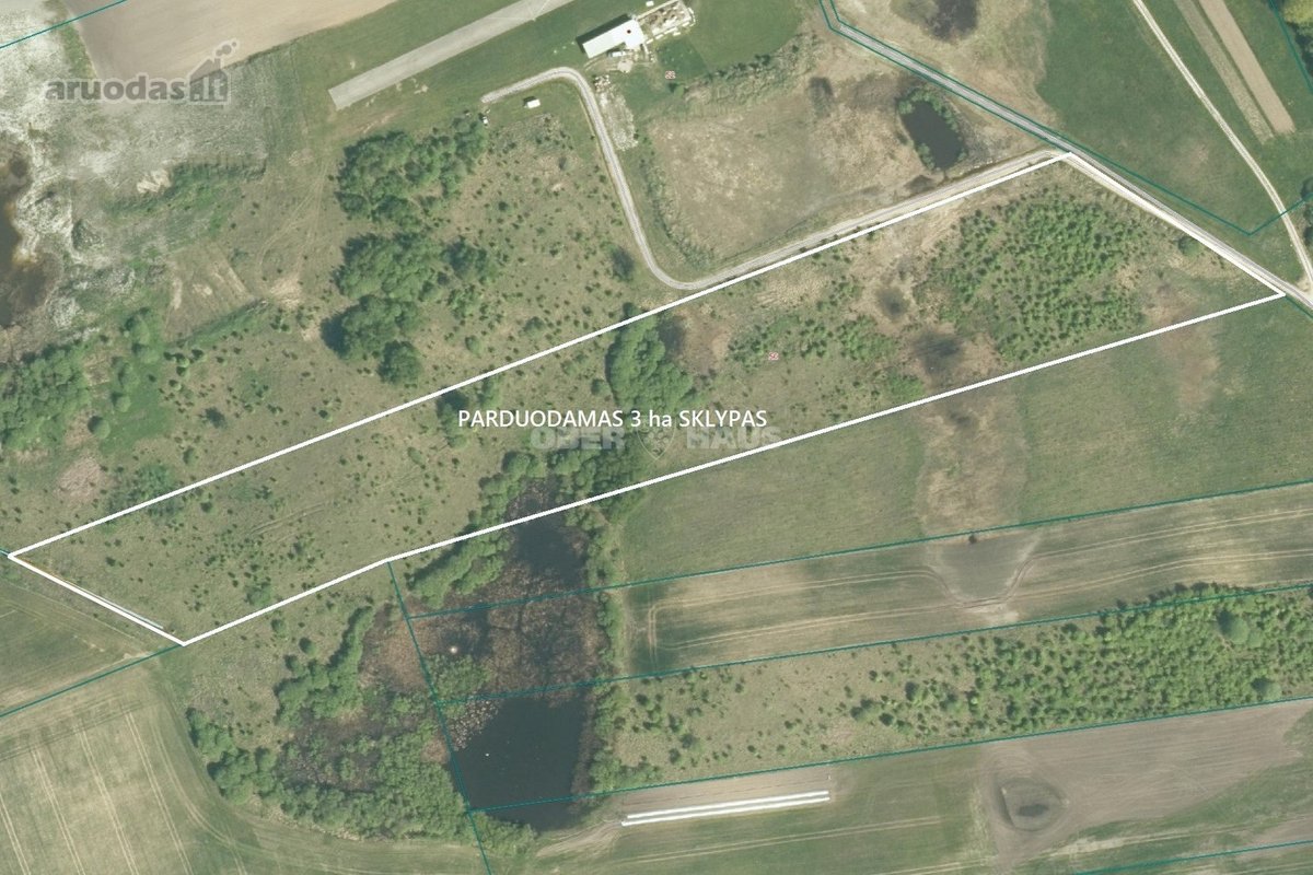 Didelis (3 ha) gyvenamosios paskirties žemės - nuotraukos Nr. 2