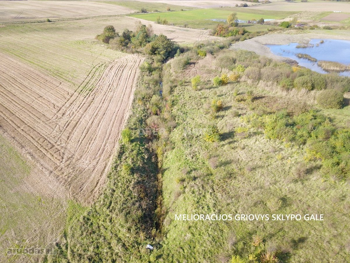 Didelis (3 ha) gyvenamosios paskirties žemės - nuotraukos Nr. 5