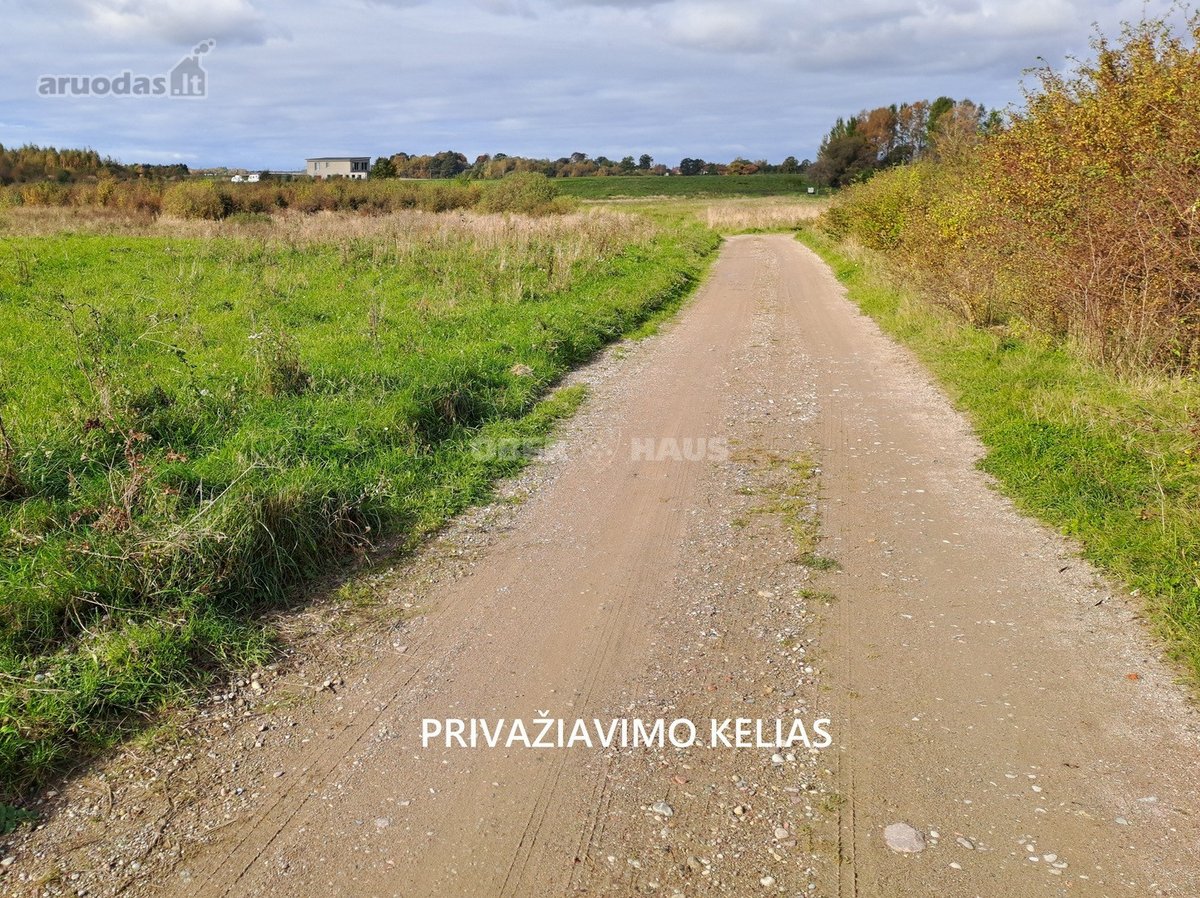 Didelis (3 ha) gyvenamosios paskirties žemės - nuotraukos Nr. 8