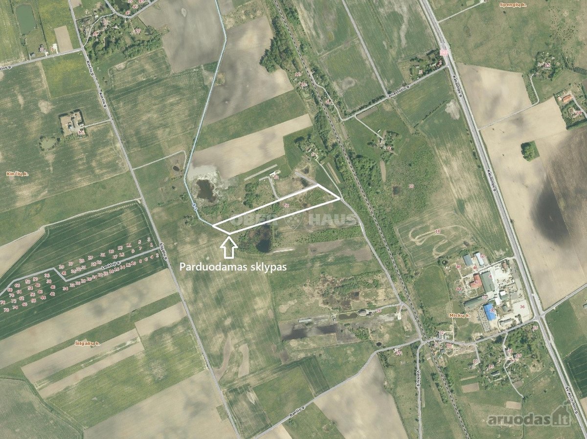 Didelis (3 ha) gyvenamosios paskirties žemės - nuotraukos Nr. 9
