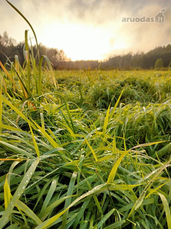Prie Žeimenos Upės Parduodama Sodyba Su 24,66 - nuotraukos Nr. 19