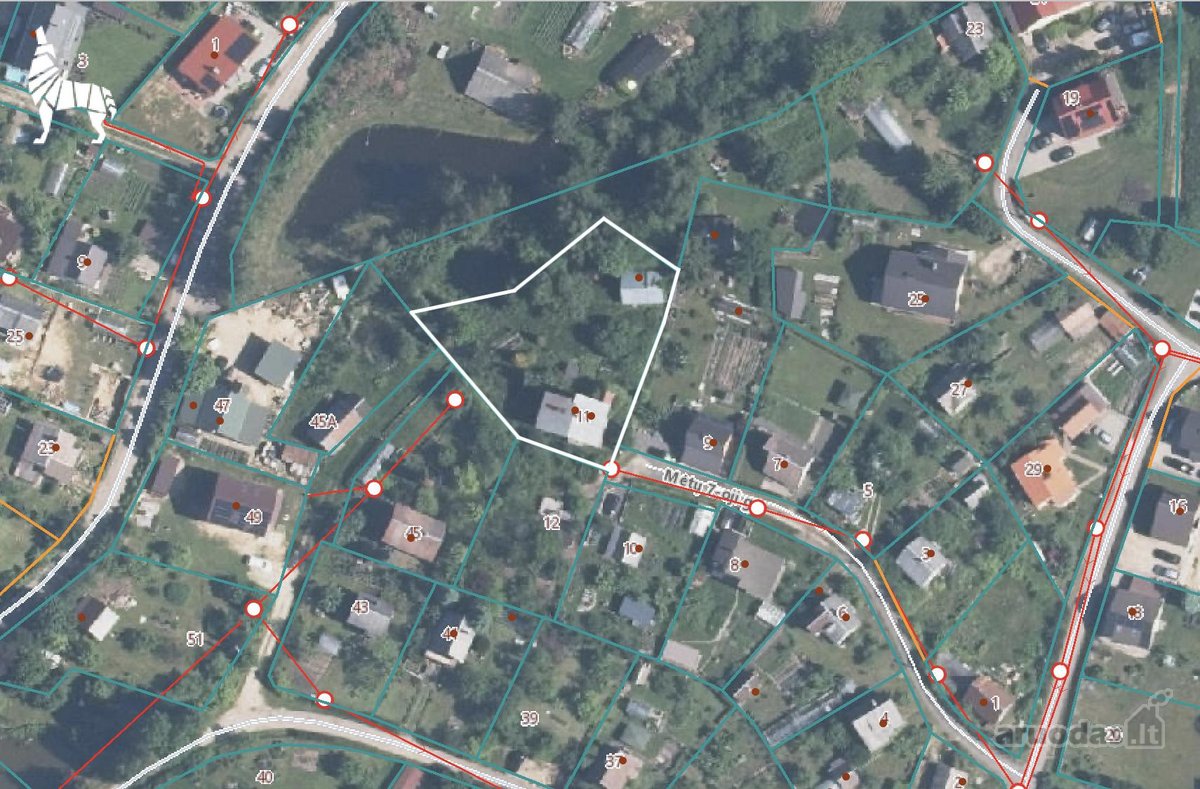 Rastinėnuose, ramioje ir žalumos apsuptoje - nuotraukos Nr. 23