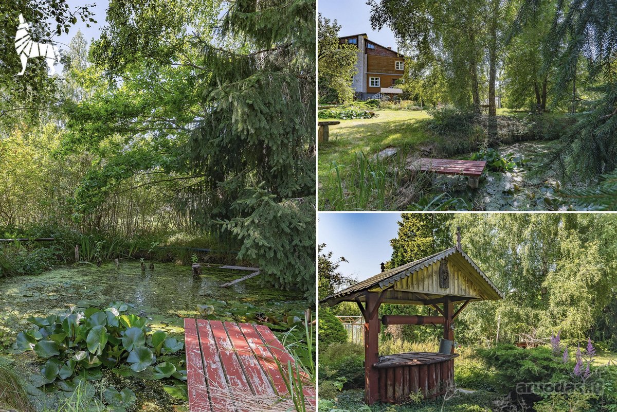 Rastinėnuose, ramioje ir žalumos apsuptoje - nuotraukos Nr. 14
