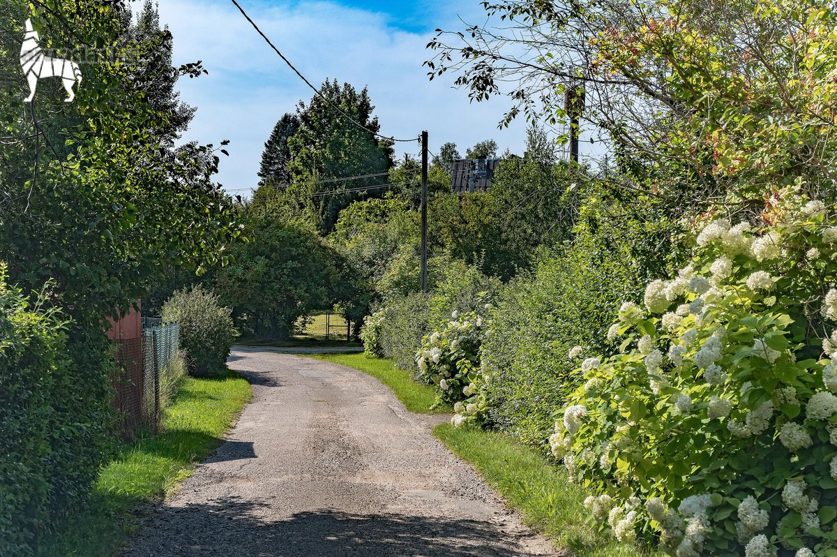 Rastinėnuose, ramioje ir žalumos apsuptoje - nuotraukos Nr. 21