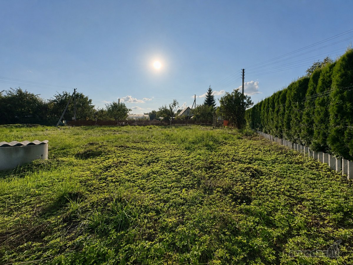 Parduodamas Sodo Sklypas Daukniškiuose 6,61a - nuotraukos Nr. 6