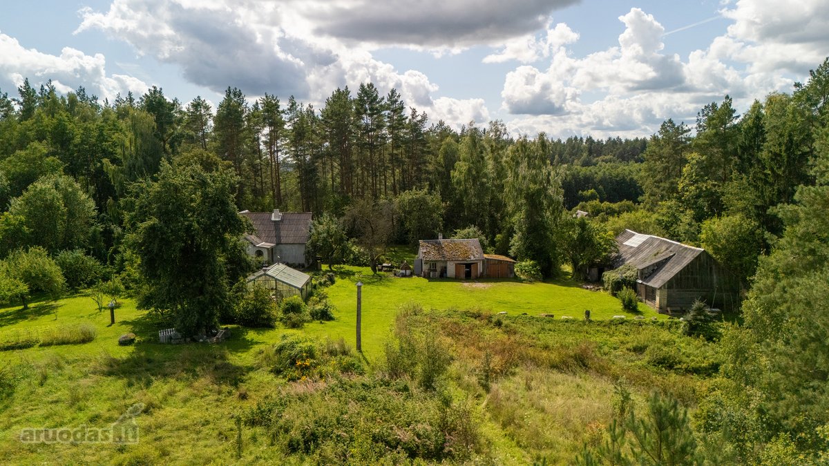 Išskirtinėje Gamtos Apsuptyje, Merkinės - nuotraukos Nr. 5