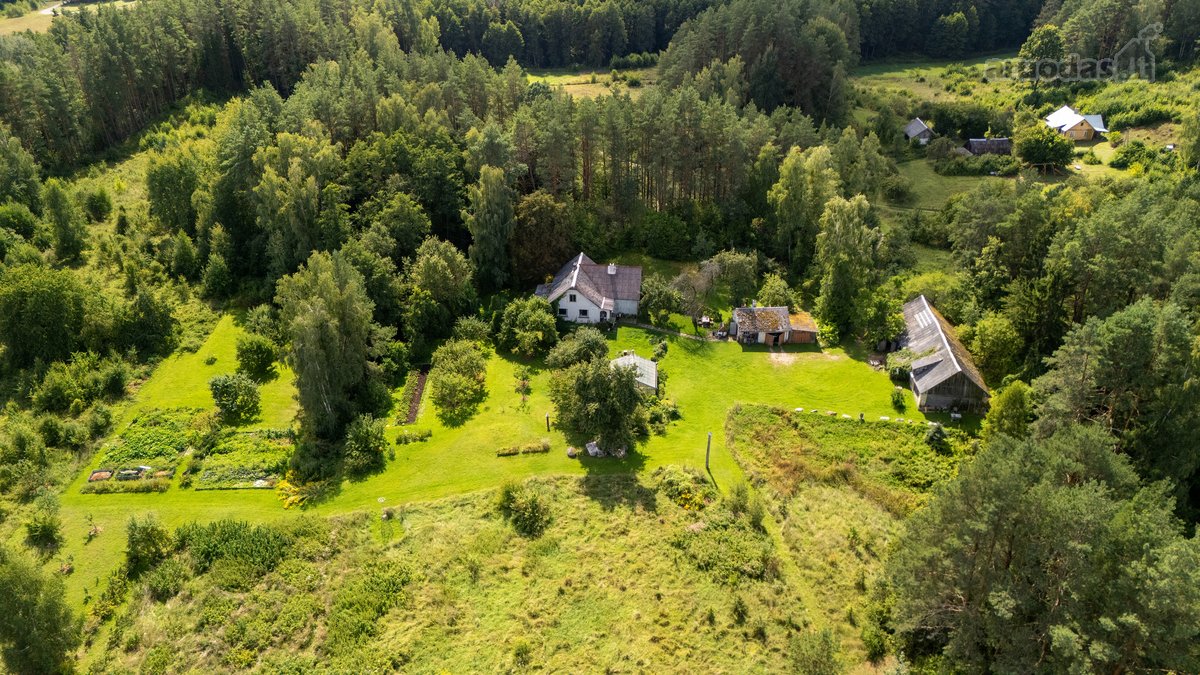 Išskirtinėje Gamtos Apsuptyje, Merkinės - nuotraukos Nr. 3