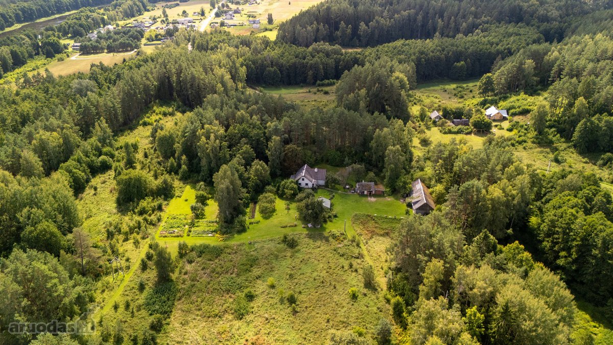 Išskirtinėje Gamtos Apsuptyje, Merkinės - nuotraukos Nr. 2