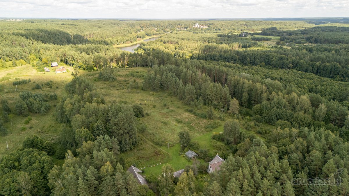 Išskirtinėje Gamtos Apsuptyje, Merkinės - nuotraukos Nr. 9