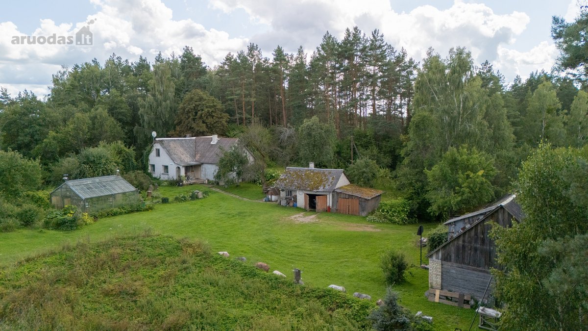 Išskirtinėje Gamtos Apsuptyje, Merkinės - nuotraukos Nr. 10