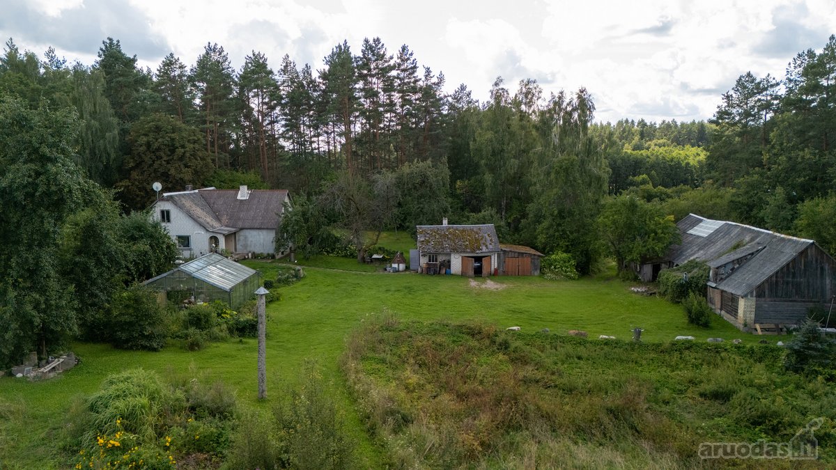 Išskirtinėje Gamtos Apsuptyje, Merkinės - nuotraukos Nr. 12