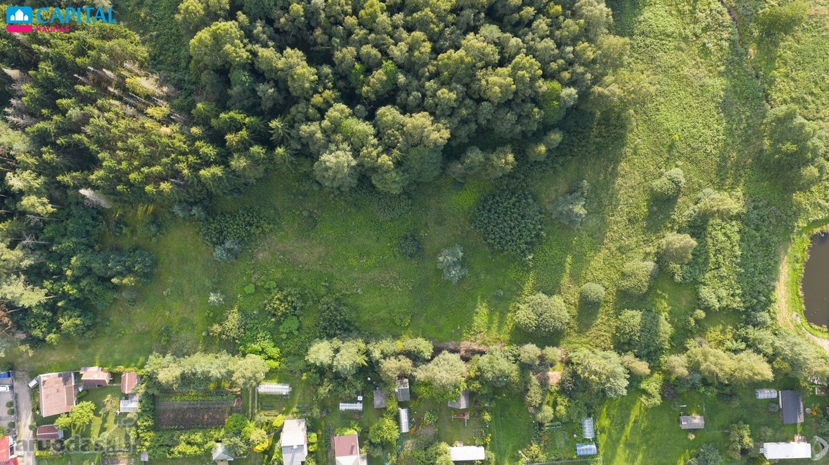 Parduodamas 79,43 arų žemės sklypas vienbučio - nuotraukos Nr. 10