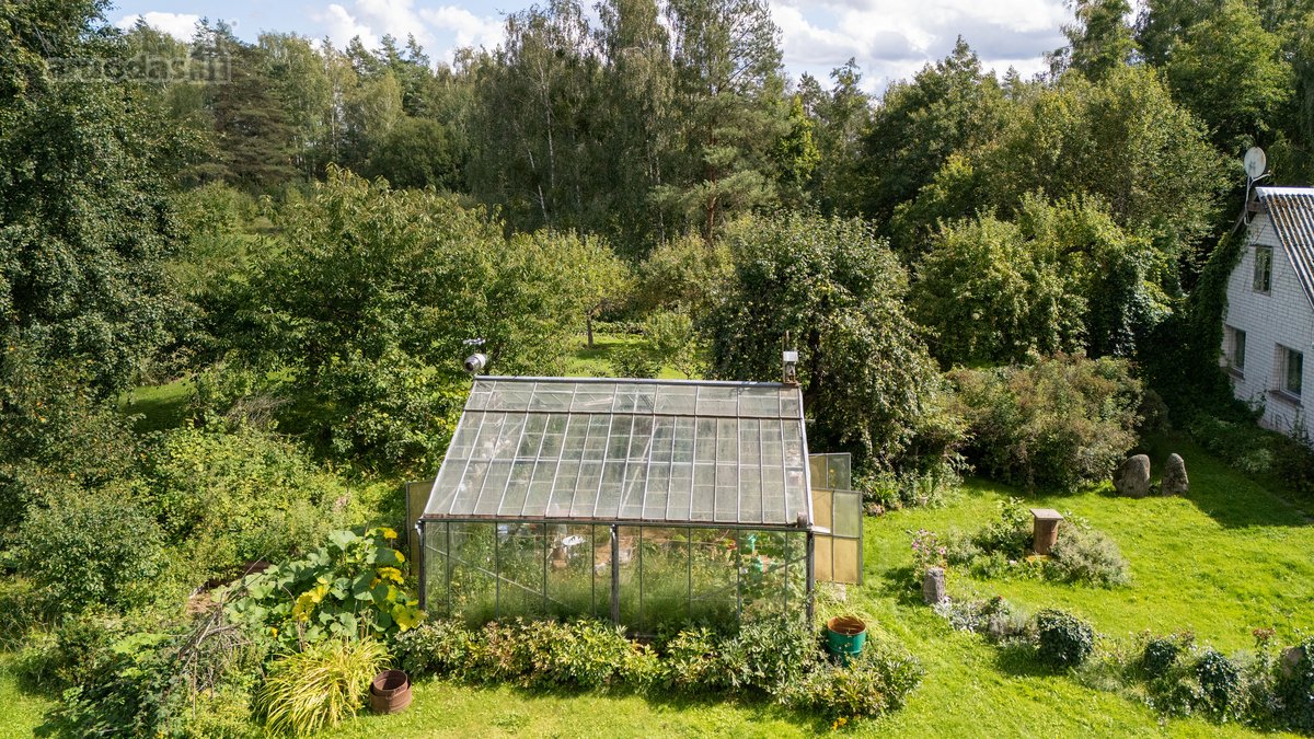 Išskirtinėje Gamtos Apsuptyje, Merkinės - nuotraukos Nr. 14