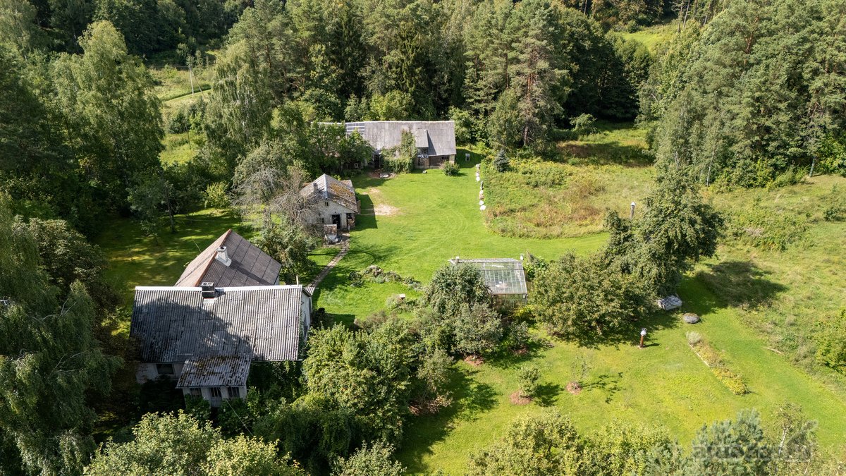 Išskirtinėje Gamtos Apsuptyje, Merkinės - nuotraukos Nr. 17