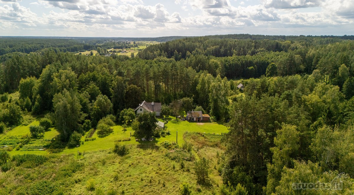 Išskirtinėje Gamtos Apsuptyje, Merkinės - nuotraukos Nr. 18