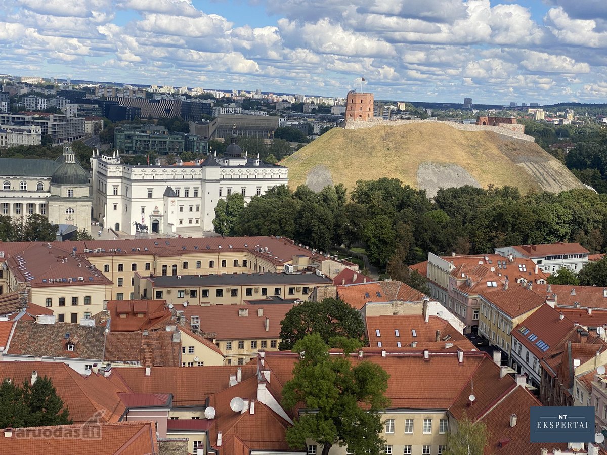 Parduodamos Istorinės Patalpos / Butas - nuotraukos Nr. 16