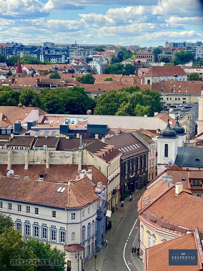 Parduodamos Istorinės Patalpos / Butas - nuotraukos Nr. 20