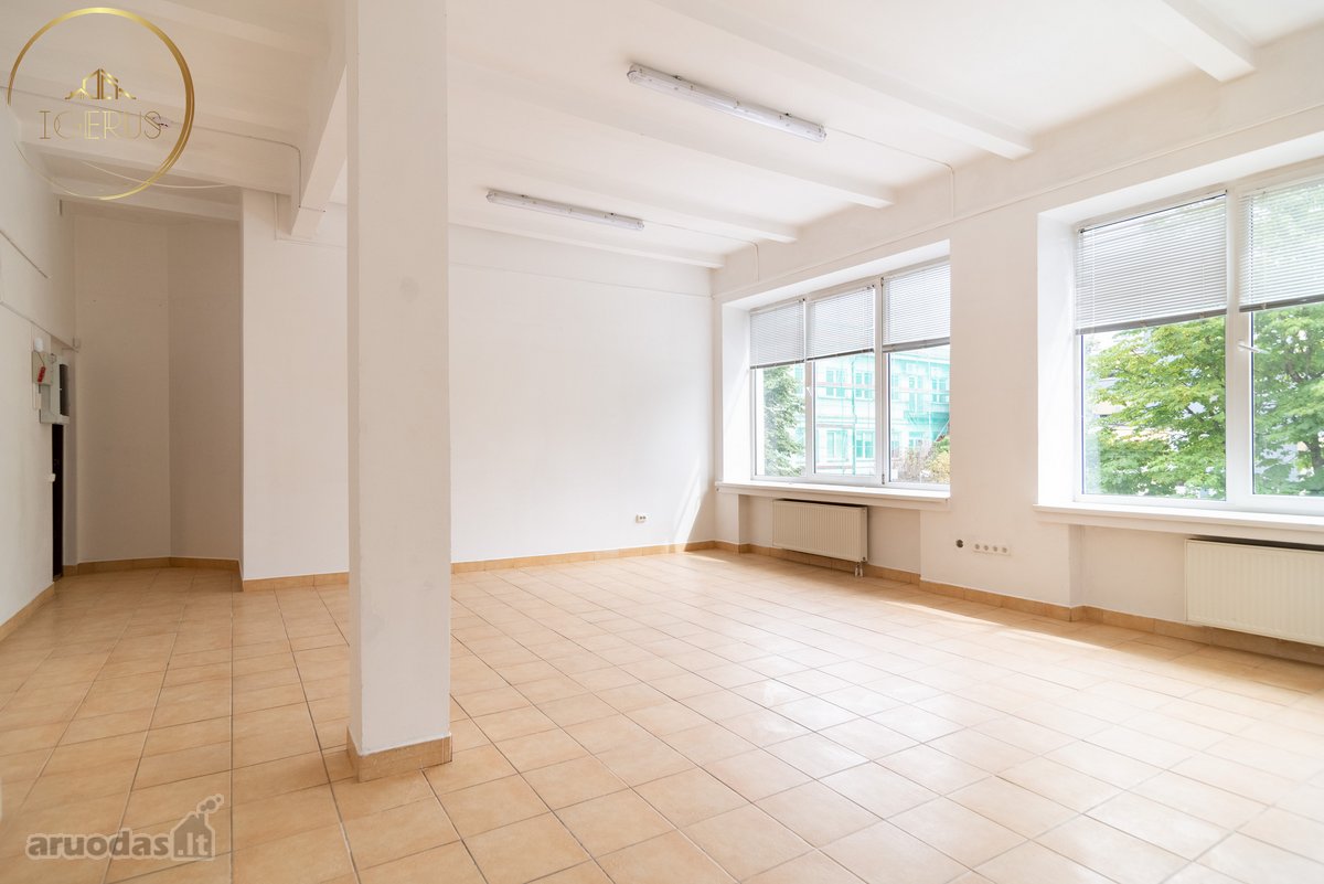 Vilniaus miesto centre išnuomojamos erdvios - nuotraukos Nr. 2