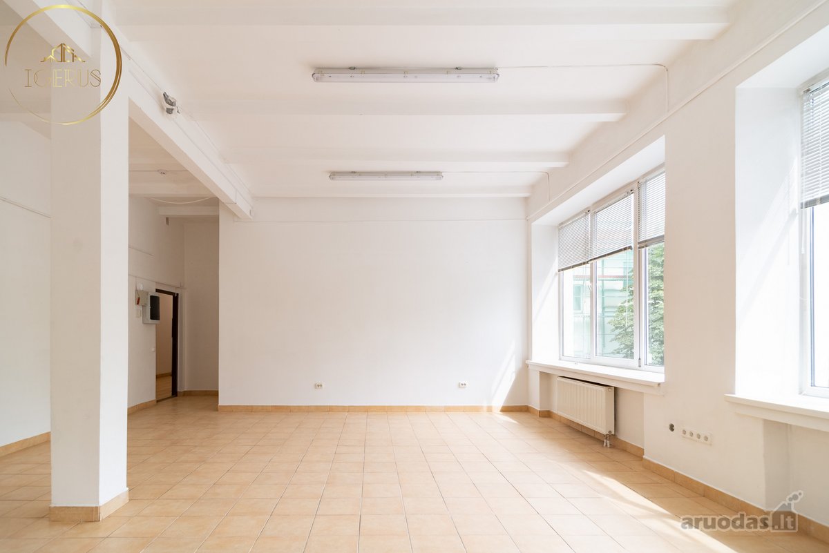 Vilniaus miesto centre išnuomojamos erdvios - nuotraukos Nr. 3