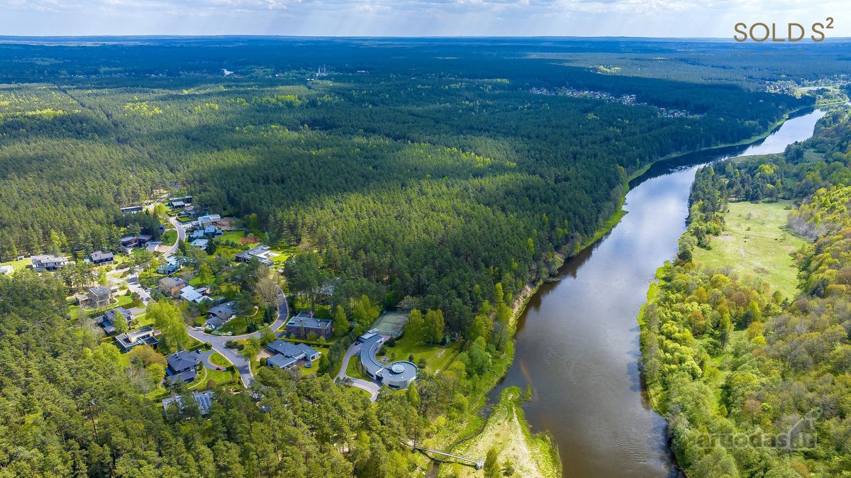 Vingiuotas pušyno keliukas veda į - nuotraukos Nr. 12