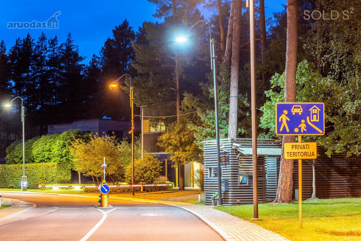 Vingiuotas pušyno keliukas veda į - nuotraukos Nr. 19