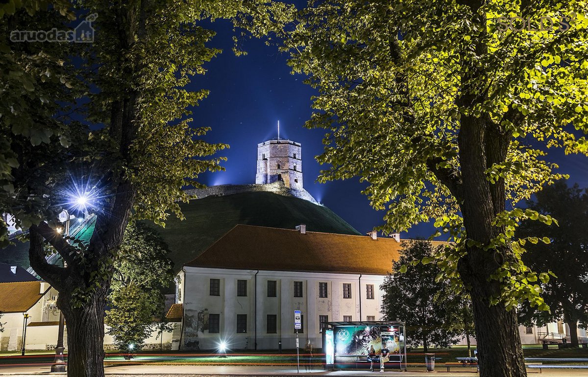 Vingiuotas pušyno keliukas veda į - nuotraukos Nr. 21