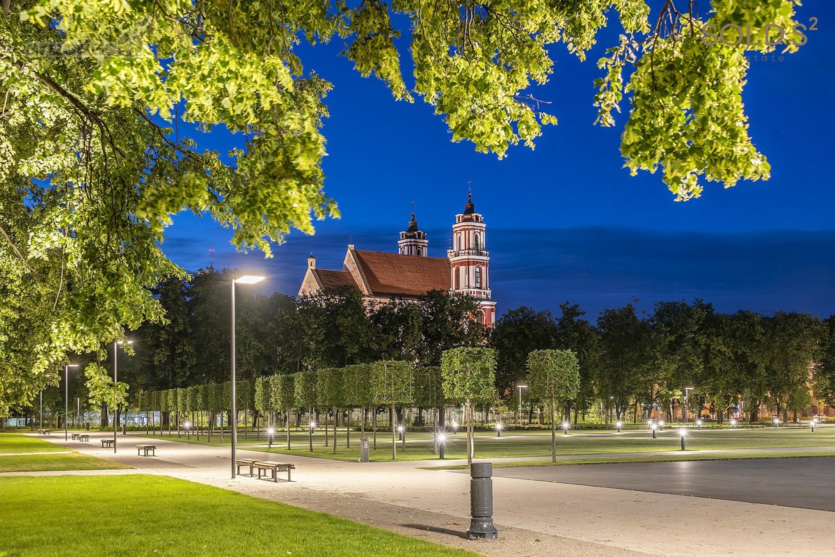 Vingiuotas pušyno keliukas veda į - nuotraukos Nr. 22