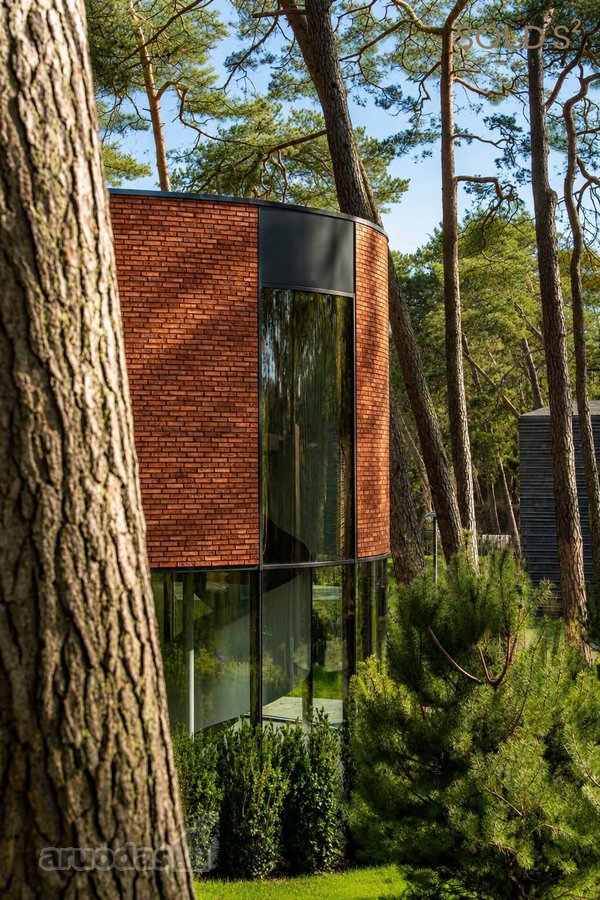 "Kopos žuvėdra“ – pušyne, arčiausiai jūros - nuotraukos Nr. 5