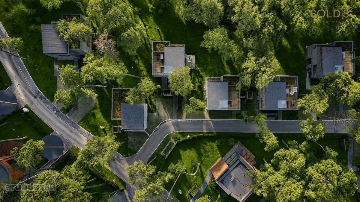 "Kopos žuvėdra“ – pušyne, arčiausiai jūros - nuotraukos Nr. 14
